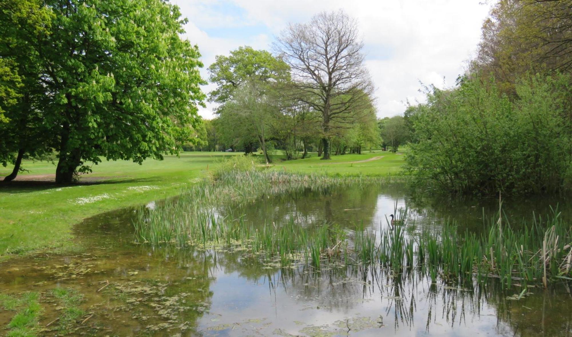 Manor Of Groves Hotel, Golf & Health Club 소브리지워스 외부 사진